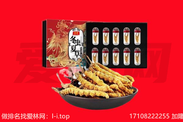 岳阳市回收虫草.jpg